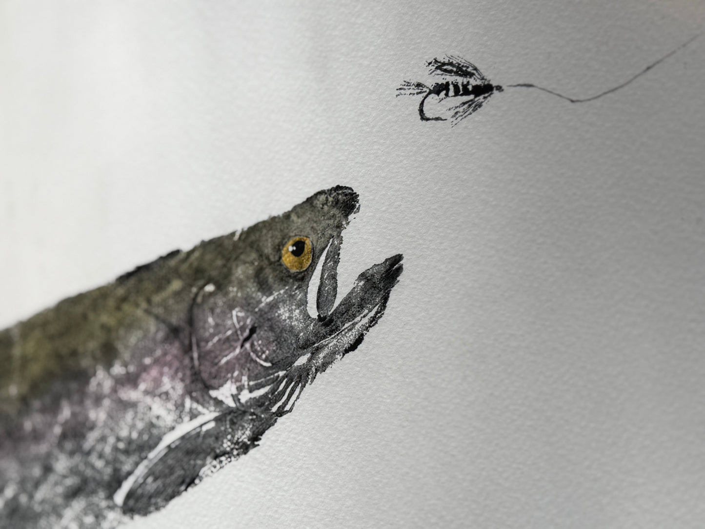 Steelhead Pursuit - Collector's Limited Edition